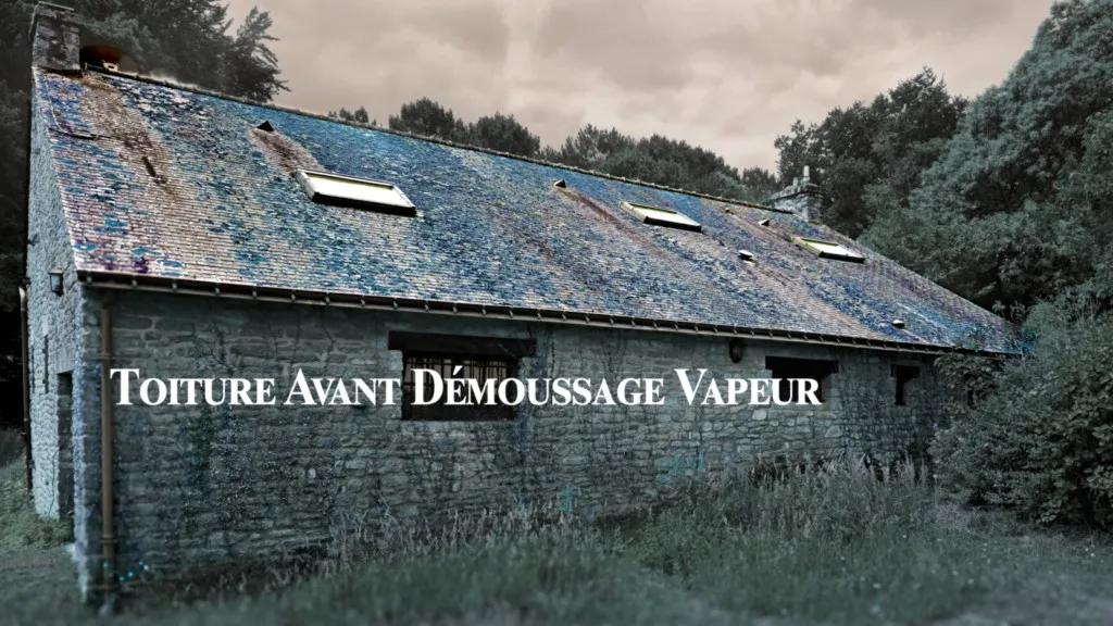 toiture avant le demoussage